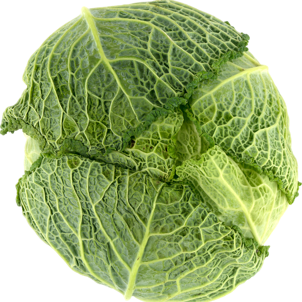 Капуста  савойская вес до 2.0 кг