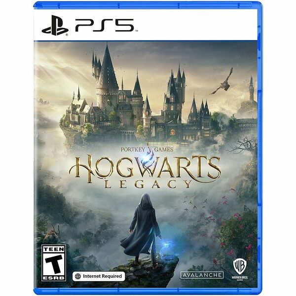 Диск для PlayStation 5 Hogwarts Legacy, русские субтитры