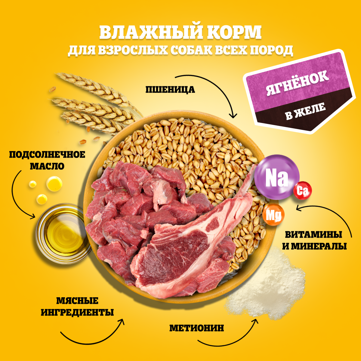 

Влажный корм Pedigree для собак, ягненок в желе 85 г