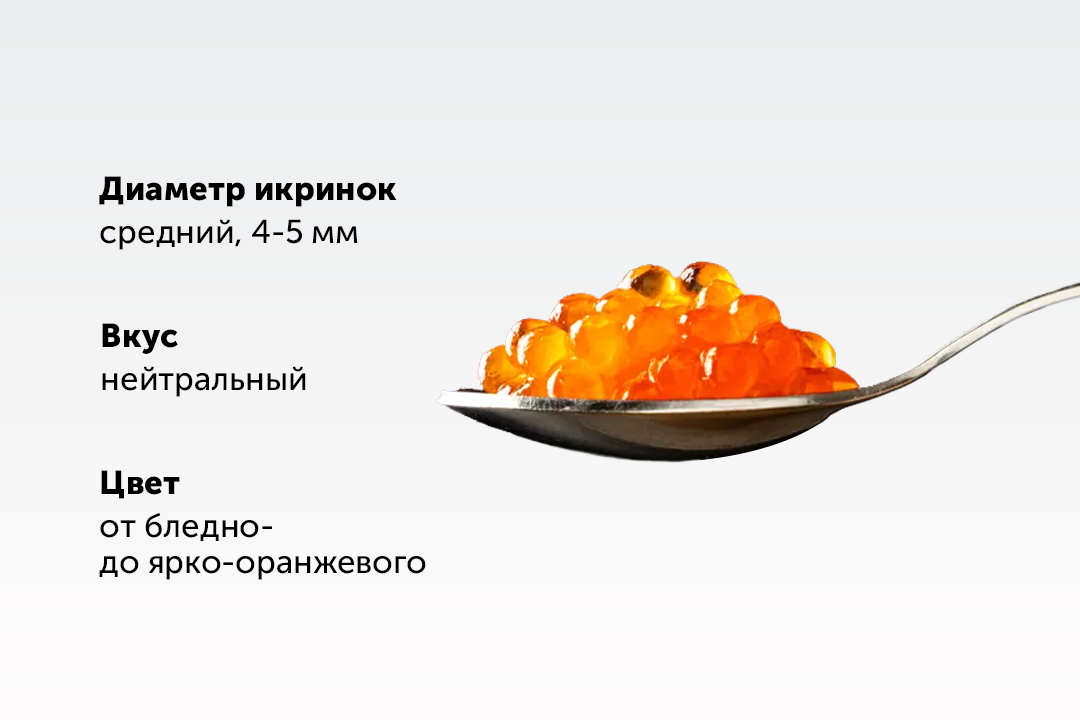 

Икра горбуши зернистая соленая пласт/б зам., 130 г(Продукт замороженный)