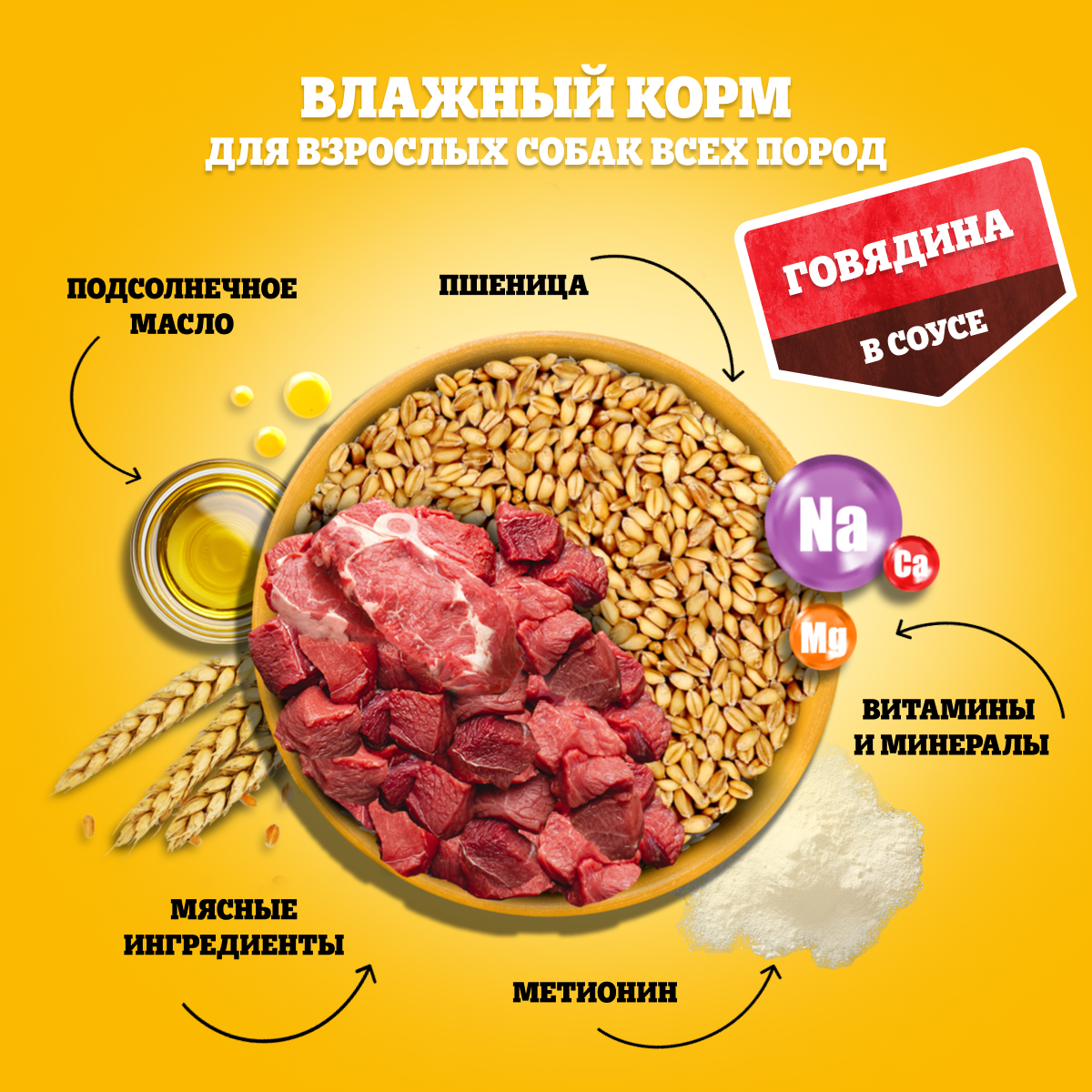 

Влажный корм Pedigree для собак говядина в соусе 85 г