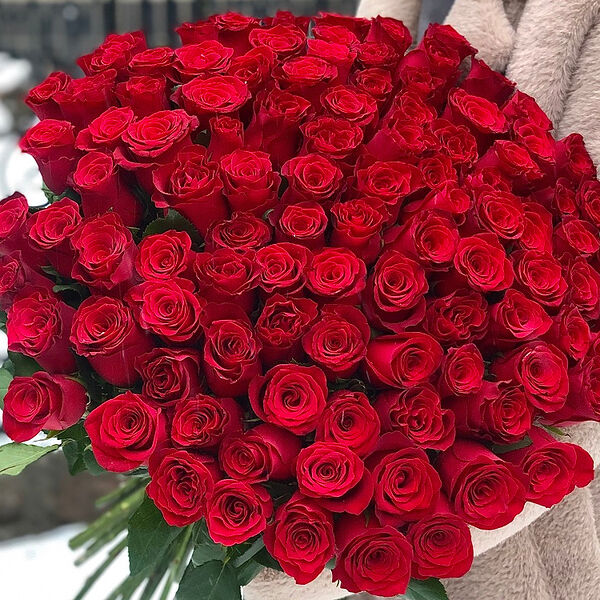 101 красная роза 60 см