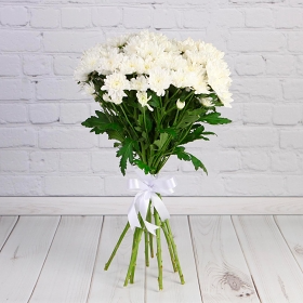 Букет 11 белых хризантем