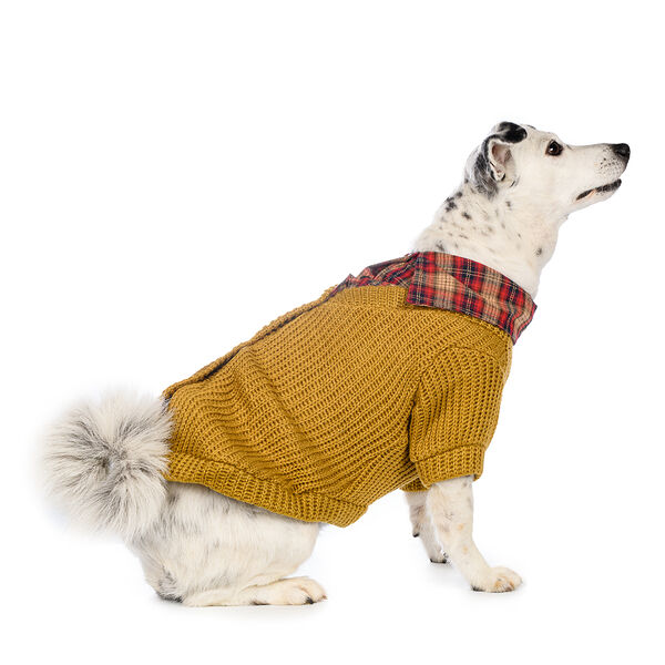 Свитер с пуговицами для собак 4XL желтый (унисекс)