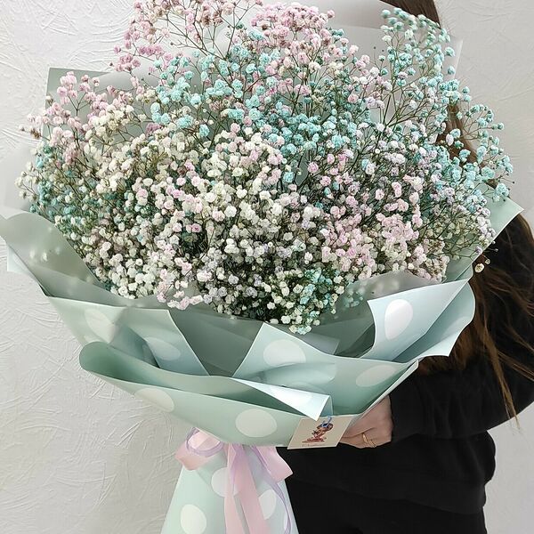 Воздушное облако гипсофилы цветной.