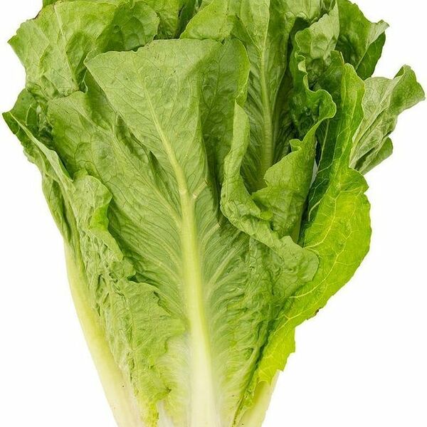 Салат Романо вес