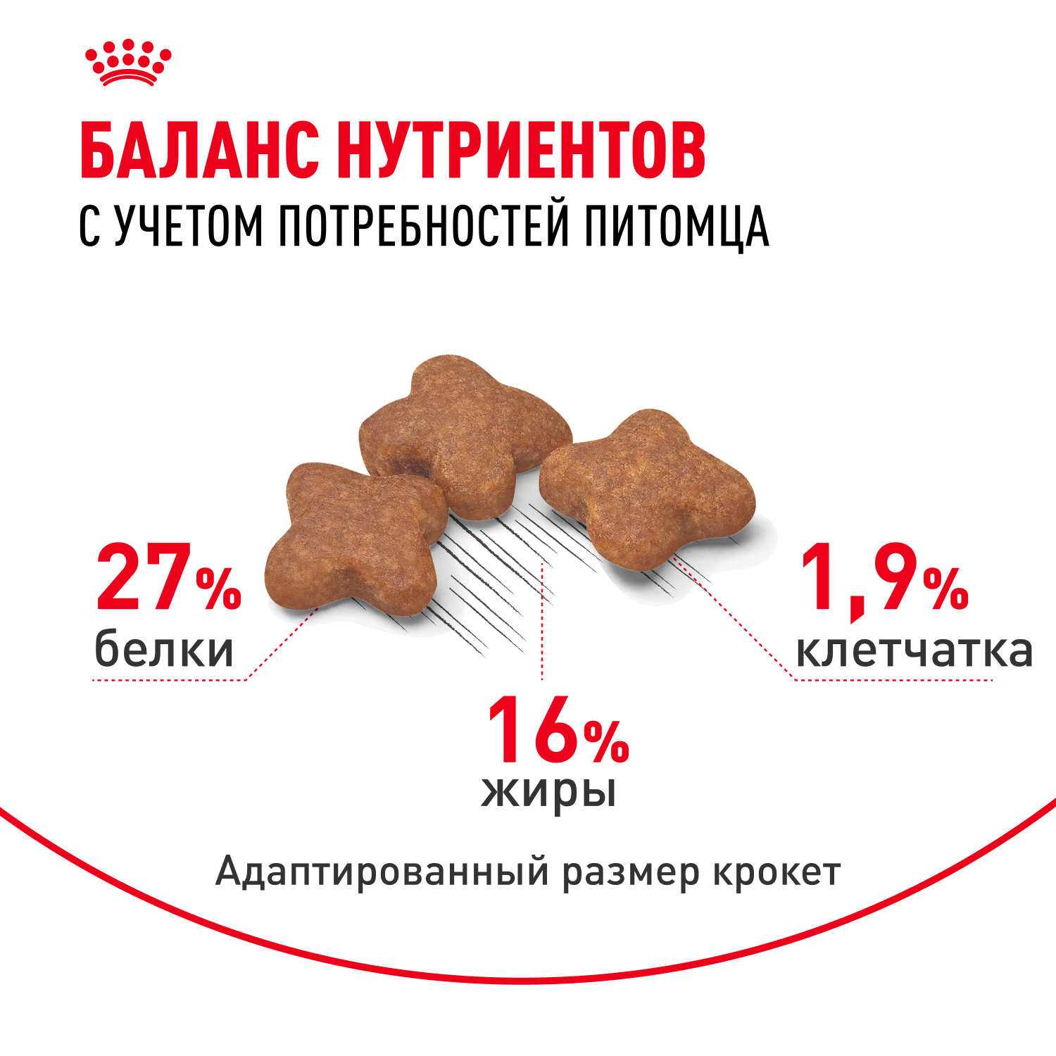 

Корм сухой Royal Canin Mini Adult для взрослых собак мелких размеров от 10 месяцев 2 кг