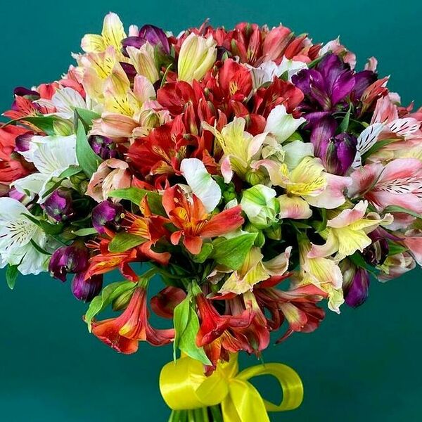 Букет цветов из 35 альстромерий