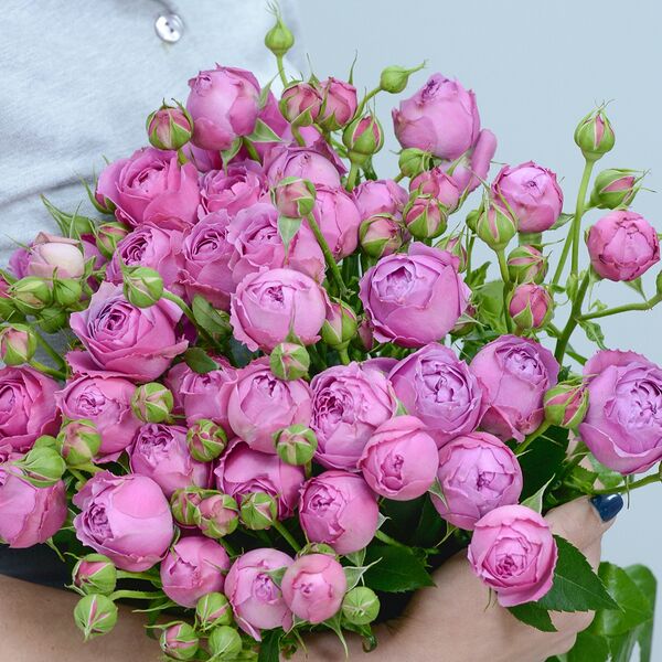 Мисти баблс 9 веточек