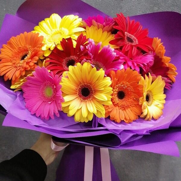 Микс гербер