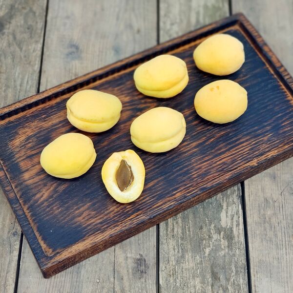 Абрикос Шалах