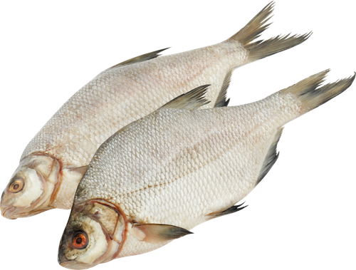 

Лещ непотр охл вес до 1.0 кг