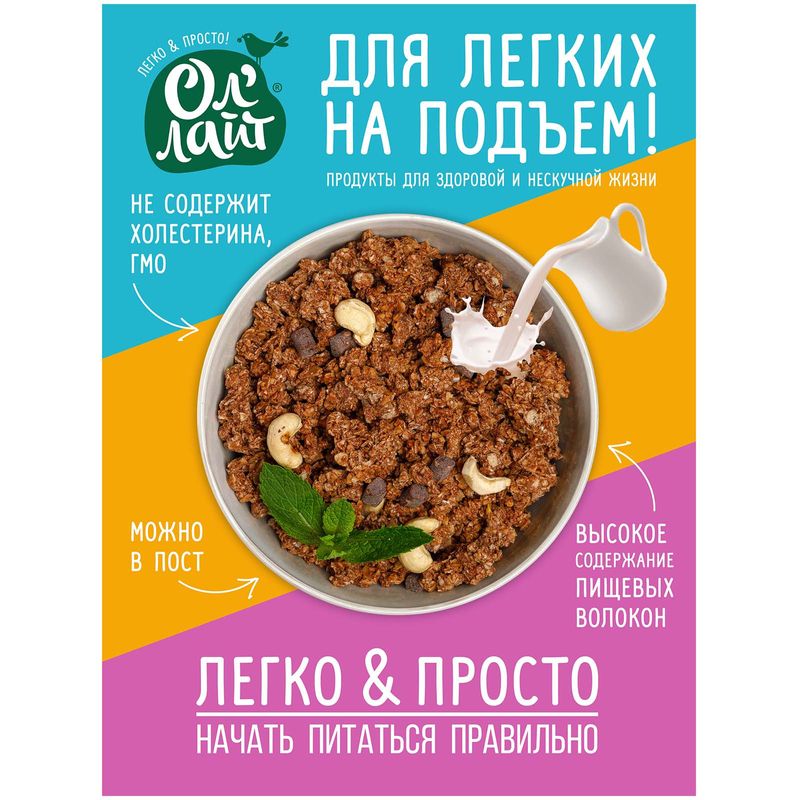 

Гранола Ол'Лайт медовая с шоколадом и орехами 280 г