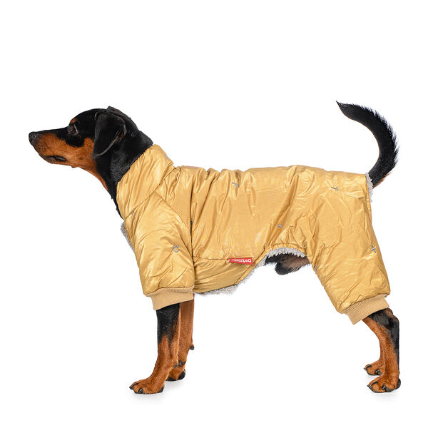 Комбинезон для собак M бежевый (унисекс)