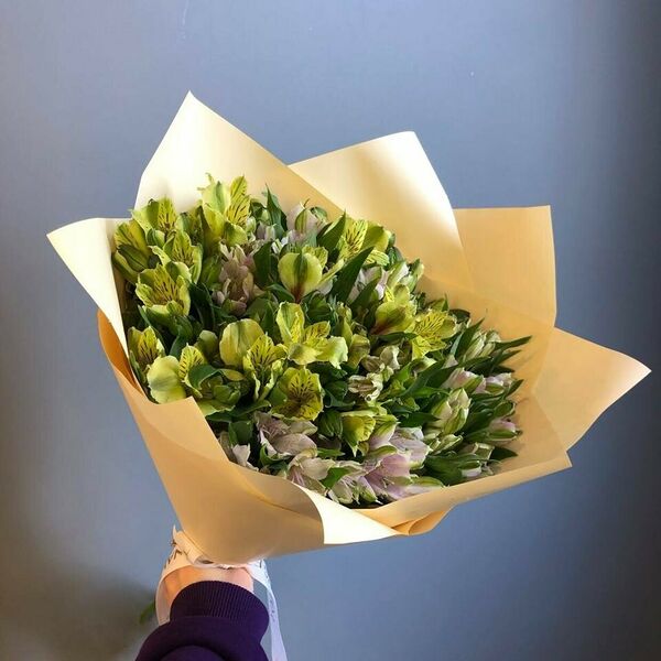 Букет из 17 альстромерий микс