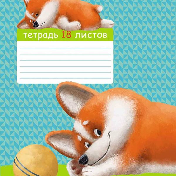 Тетрадь А5 клетка Hatber Рыжий Коржик дизайн в ассортименте, 18 листов