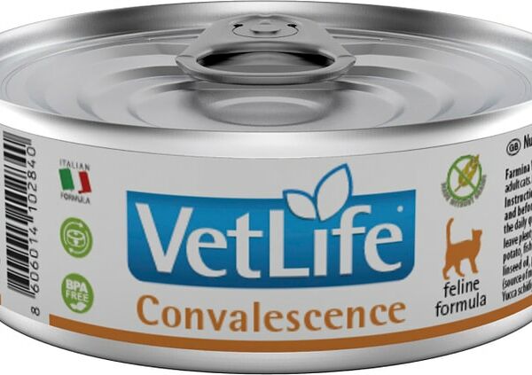 Влажный корм для кошек Farmina Vet Life Cat Convalescence диетический с курицей в восстановительный и послеоперационный период 85г