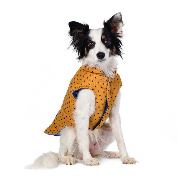 Куртка двухсторонняя для собак 68 XS синий (унисекс)