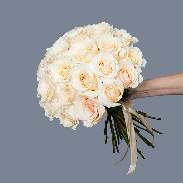 Монобукет 25 Роз Favourite под ленту