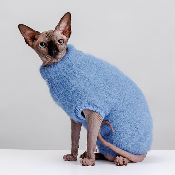 Свитер для кошек и собак, S, синий