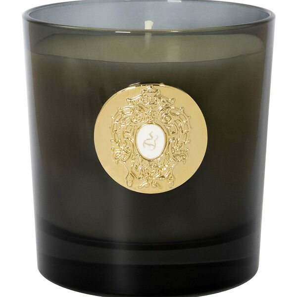 TIZIANA TERENZI Chiron Свеча с ароматом духов в черном стекле, хлопковый фитиль, 250 г