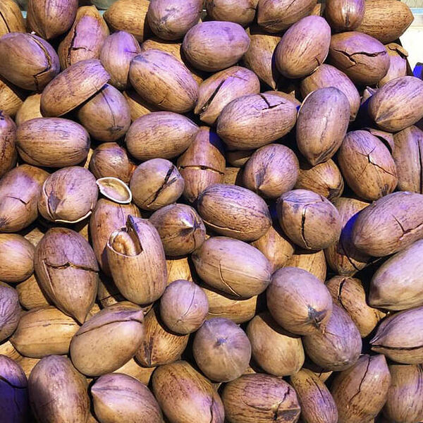 Пекан в скорлупе жареный