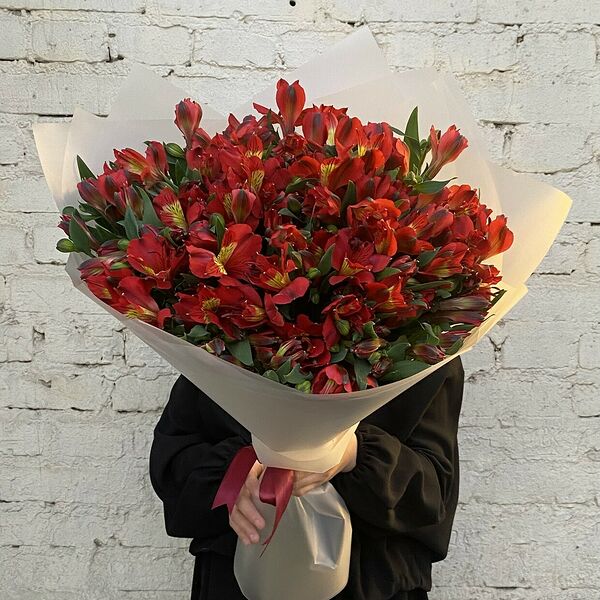 Альстромерия красная