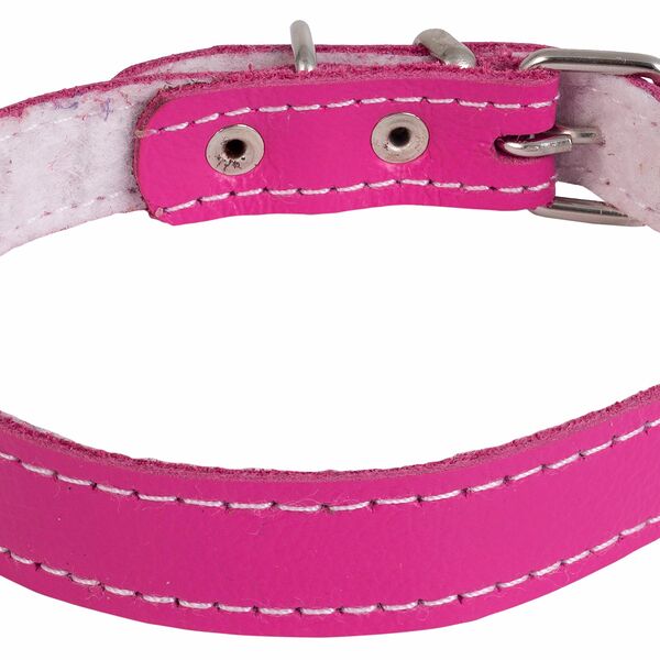 Каскад ошейник кожаный с синтепоном 27-35 см.