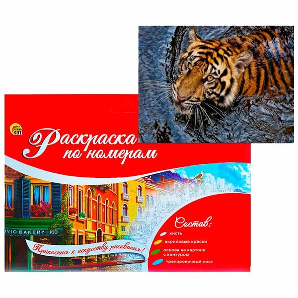 Игровой набор Рыжий Кот раскраска по номерам на картоне А4