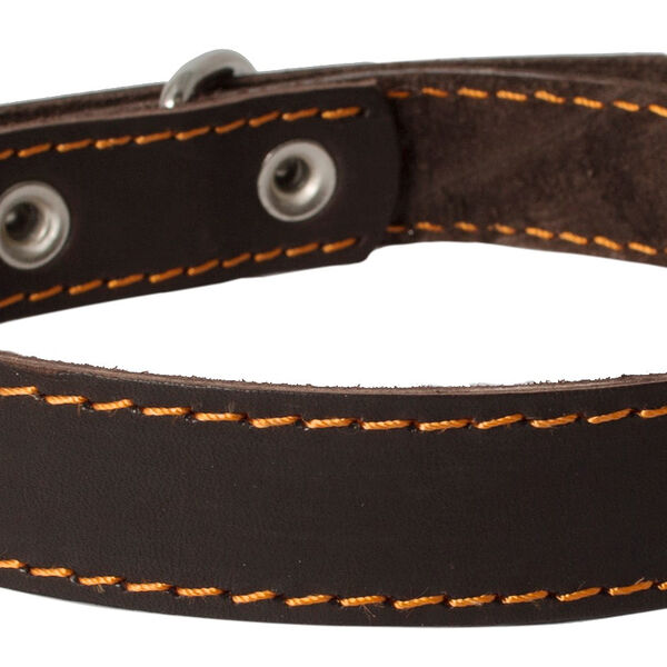Каскад ошейник кожаный 50-59 см.