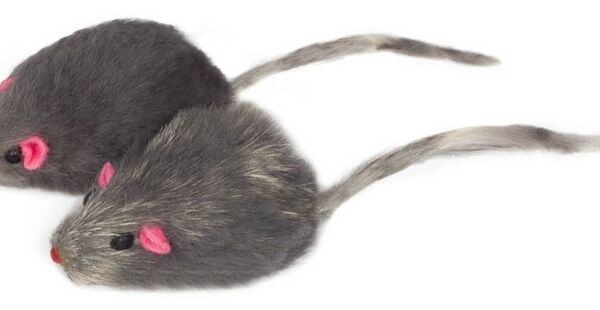 Triol игрушка 