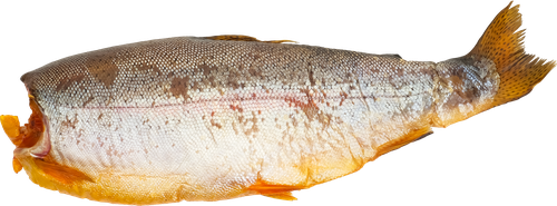 

Форель холодного копчения ФОСФОРЕЛЬ потрошеная без головы, весовая