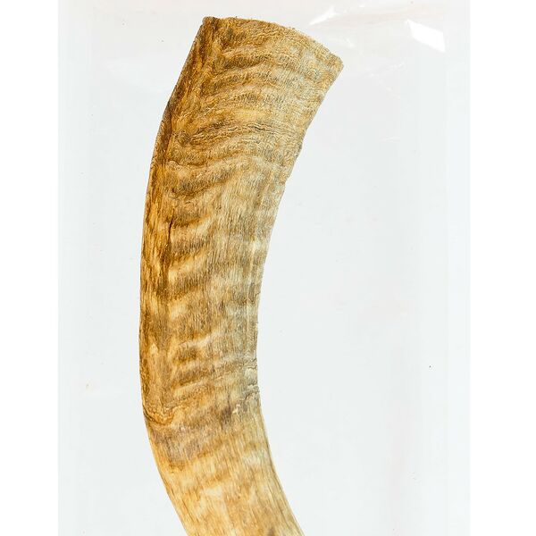 Country snack лакомство 