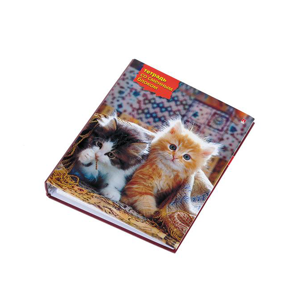 Тетрадь со сменным блоком ТМ Альт