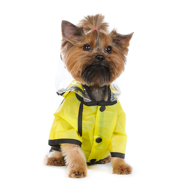Дождевик с капюшоном для собак M желтый (унисекс)