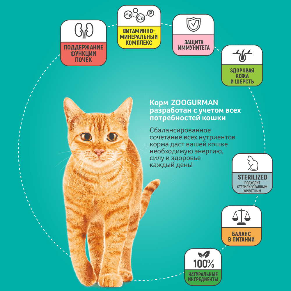 

Влажный корм для кошек Зоогурман Sterilized Говядина с овощами 85 г