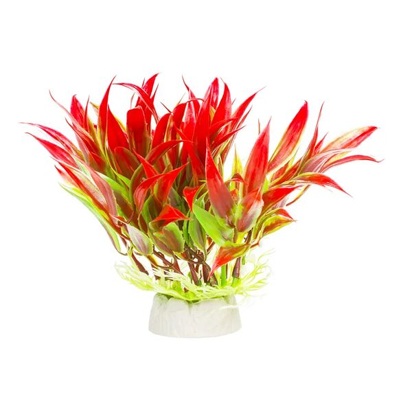 Растение красно-зеленое 10*10*12см