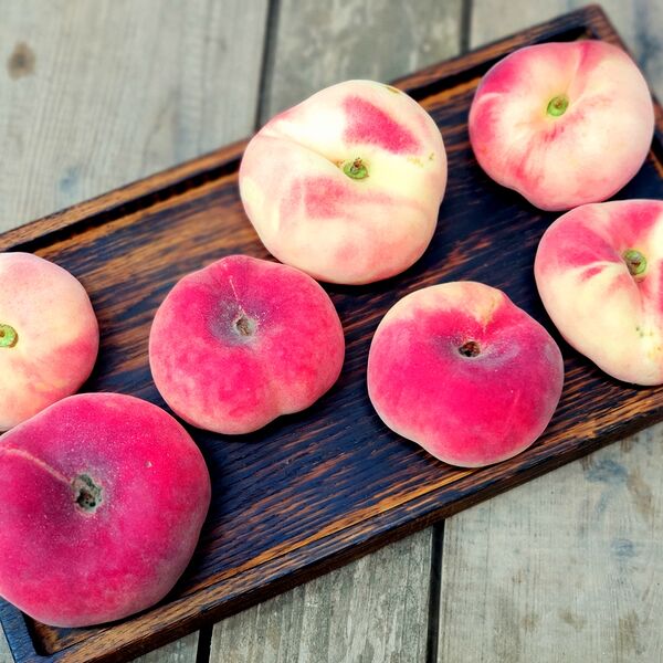 Персик плоский