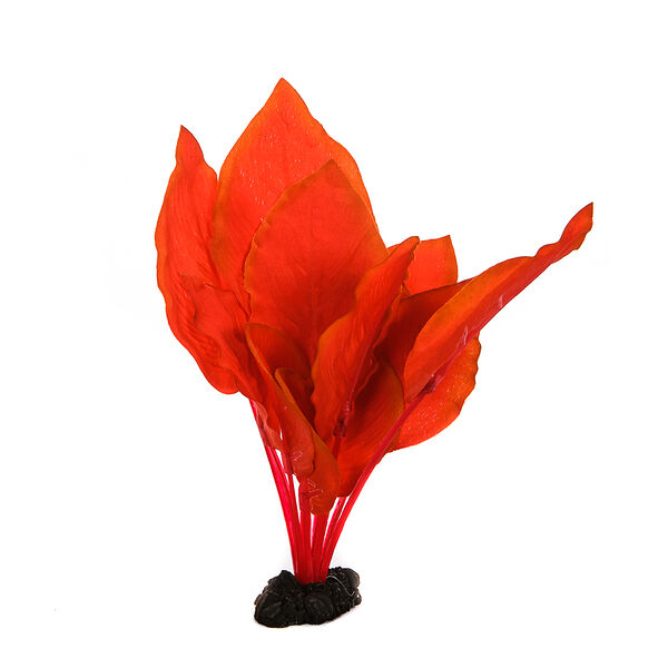 Декор для аквариума Анубиас Бартера, 20см