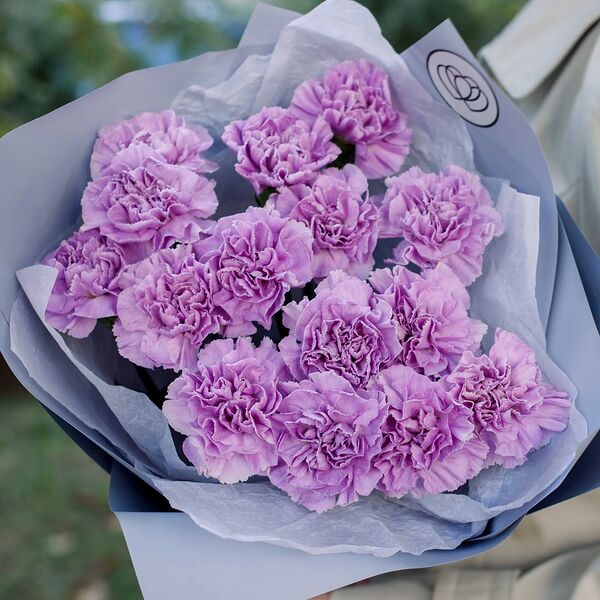 Букет из 15 сиреневых (лунных) гвоздик