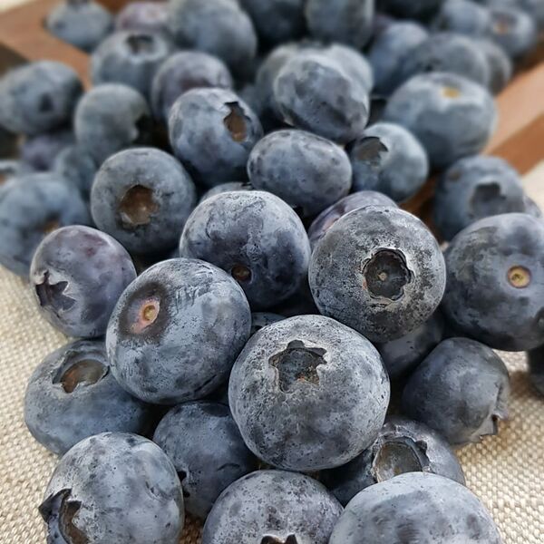 Голубика 125гр.(Danilovskymarket)