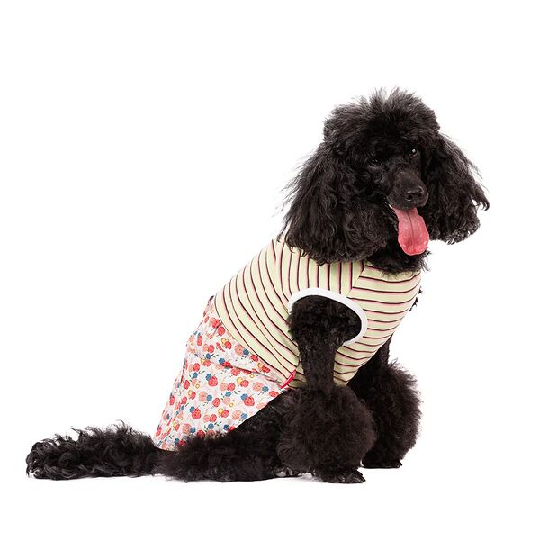 Платье для собак в полоску M желтый (девочка)