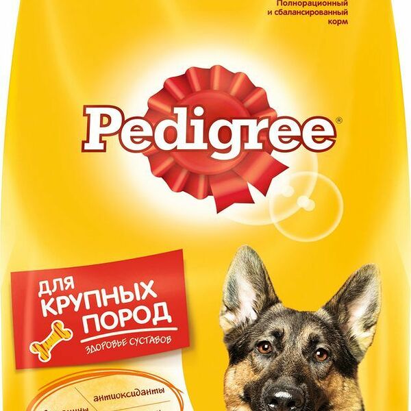 Корм для собак Pedigree для здоровья кожи и шерсти, говядина для крупных пород