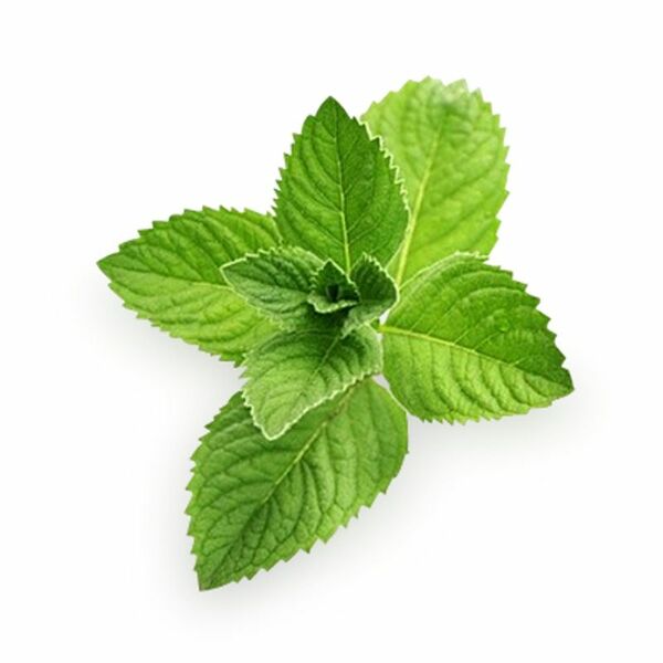 Зелень мяты, вес