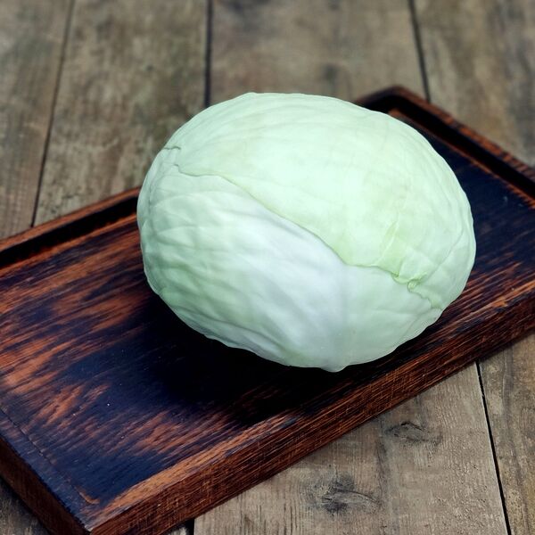 Капуста белокочанная