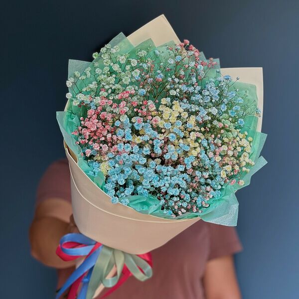 Гипсофила радужная