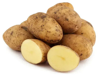 Картофель белый