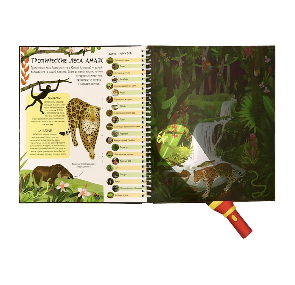 

Книга "Волшебный фонарик", "Ночной мир", Риган Лиза, Польша