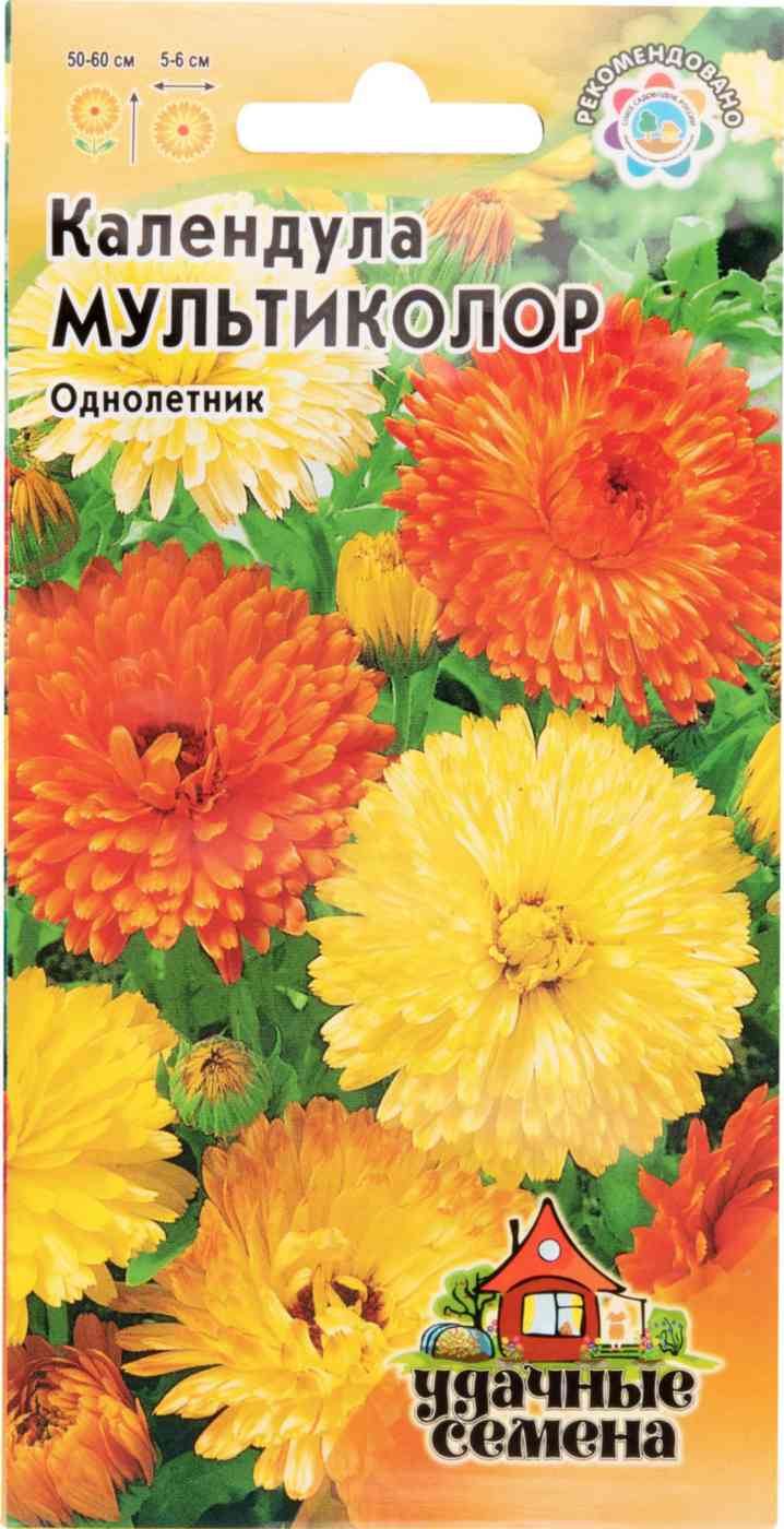 

Календула Мультиколор Удачные семена семена однолетник
