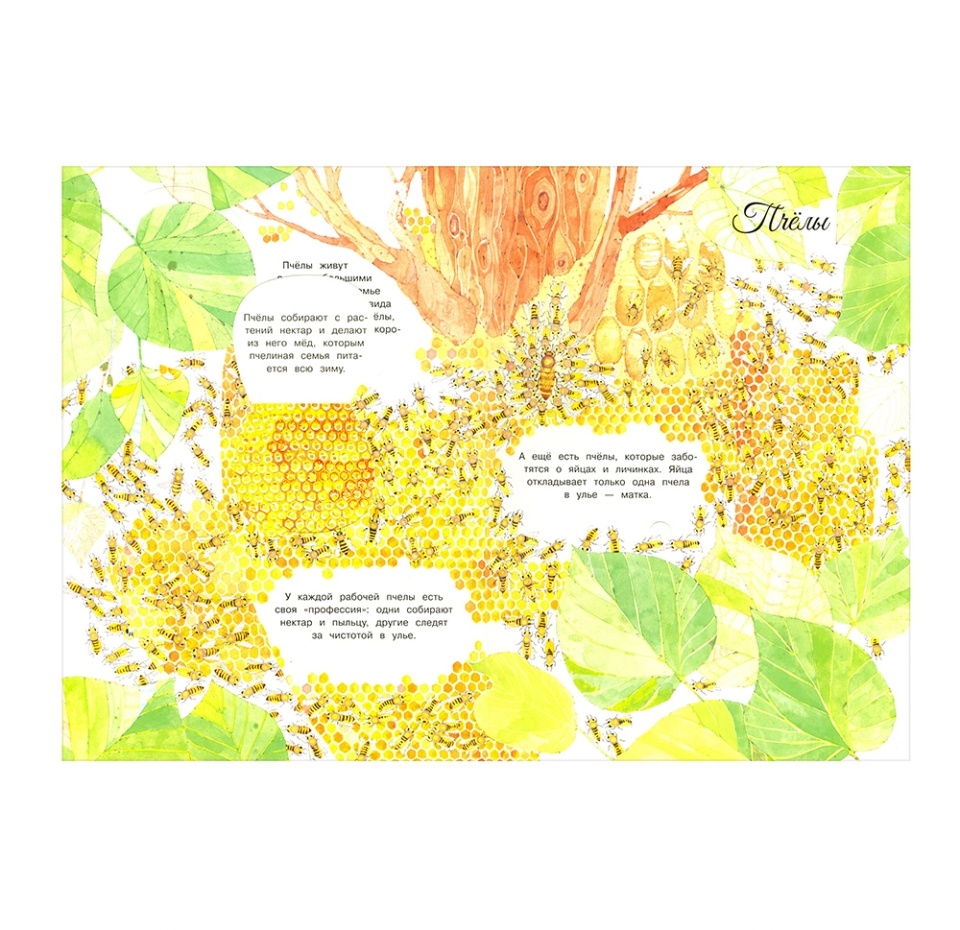 

Книга "Мистер Жук и его соседи. Путешествие в мир насекомых" Перабони Кристина, Банфи Кристина Мария